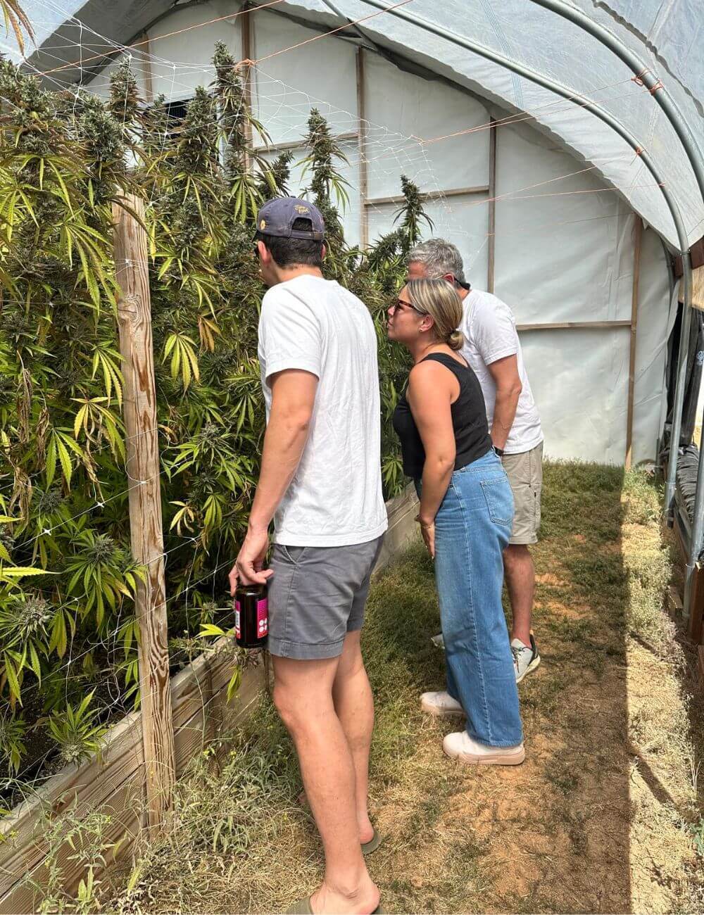 Untitled design - 2025-09-10T201431.966 (1)