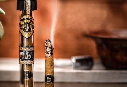 WhatsApp Image 2025-11-07 at 19.09.31